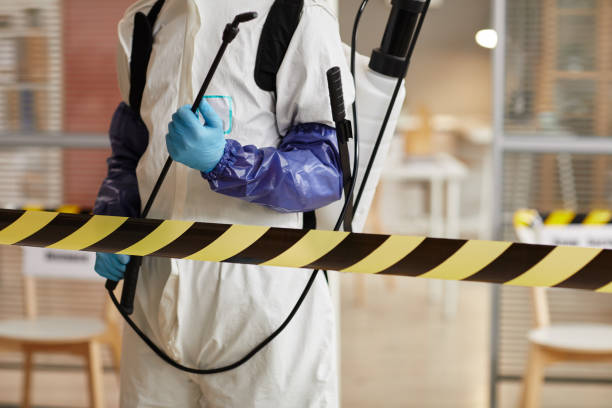 Professional Hoarding Cleanup technician working in Rutherford, NJ